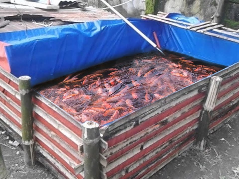 TERPAL TAMBAK GORONTALO UNTUK BUDIDAYA IKAN DAN UDANG