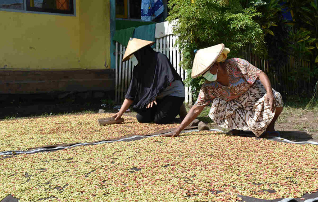 JUAL TERPAL PERKEBUNAN RIAU