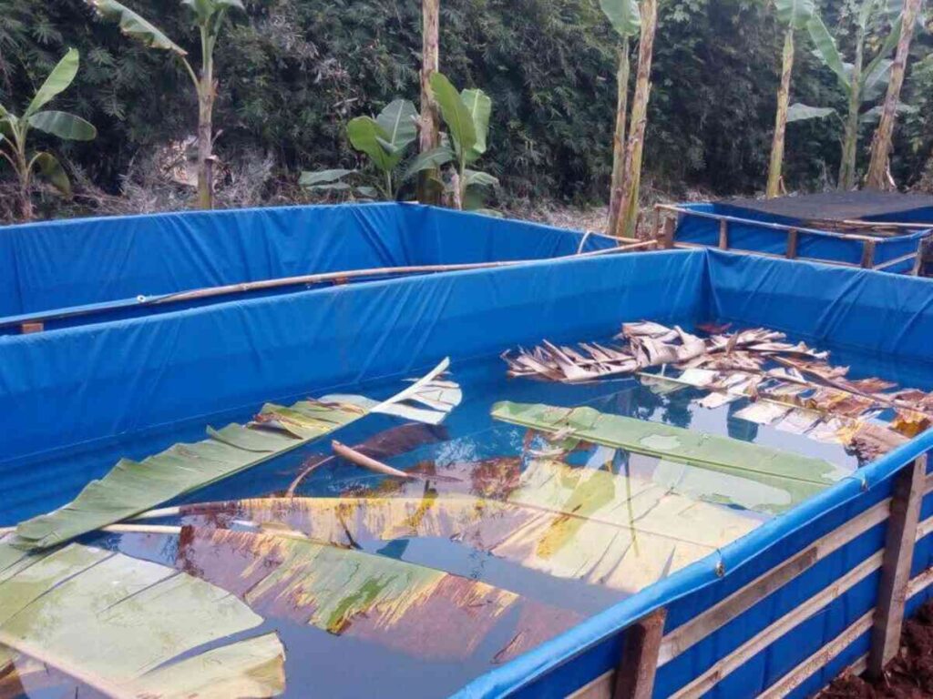 SUPPLIER TERPAL GROSIR UNTUK WADAH IKAN