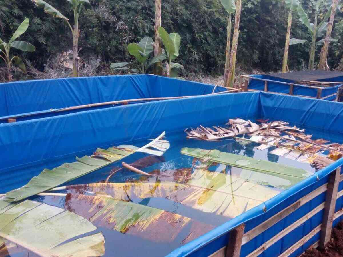 Terpal Kolam