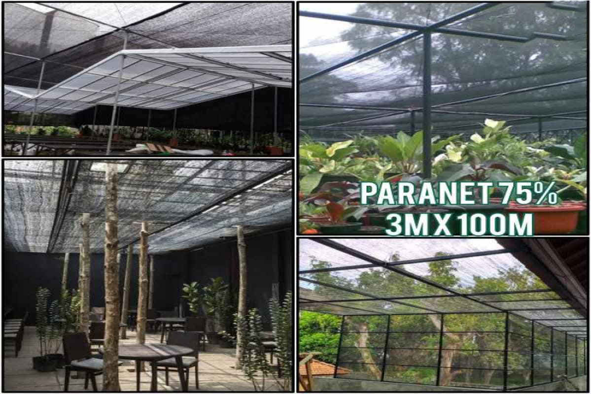 CARA MEMILIH PARANET TAHAN UV